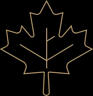 Nikan Exchange Leaf